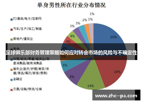 足球俱乐部财务管理策略如何应对转会市场的风险与不确定性