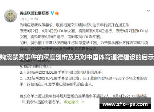 魏震禁赛事件的深度剖析及其对中国体育道德建设的启示
