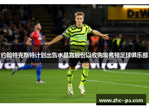 约翰特克斯特计划出售水晶宫股份以收购埃弗顿足球俱乐部 约翰特克斯特计划出售水晶宫股份以收购埃弗顿足球俱乐部